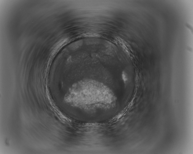 X0000097840145200804041451