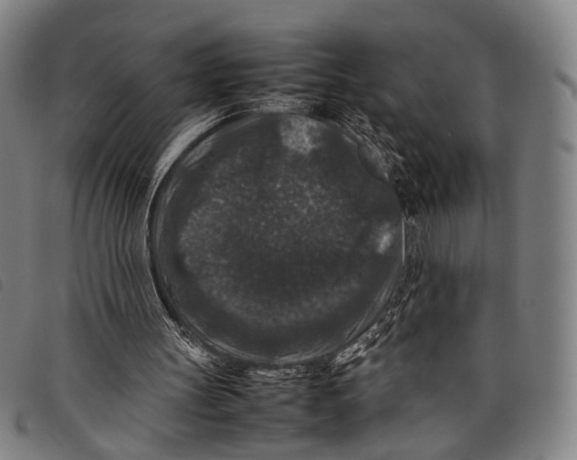 X0000097840147200804041451