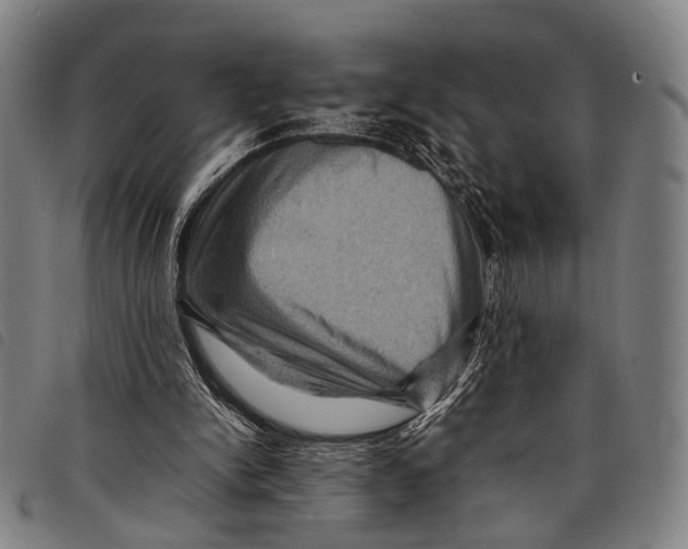 X0000097840150200804041451