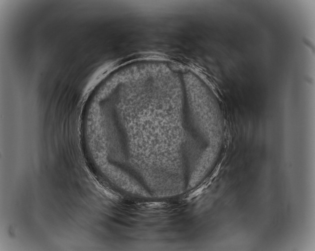 X0000097840151200804041451