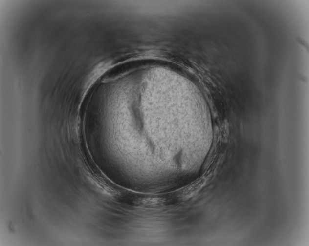 X0000097840152200804041451