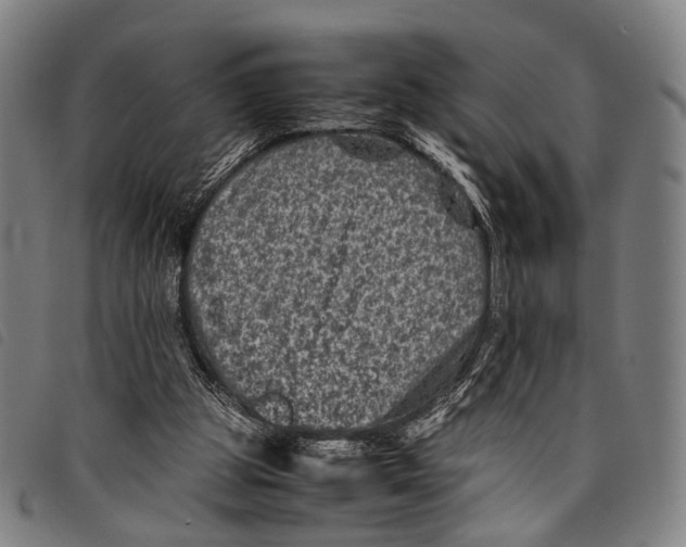 X0000097840153200804041451