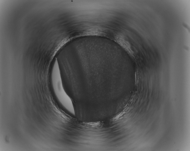 X0000097840156200804041451