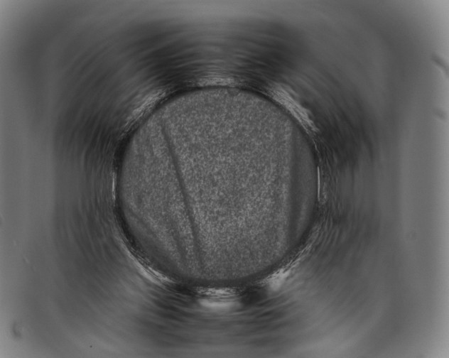 X0000097840157200804041451