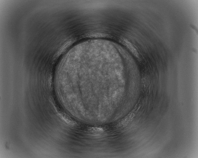 X0000097840159200804041451