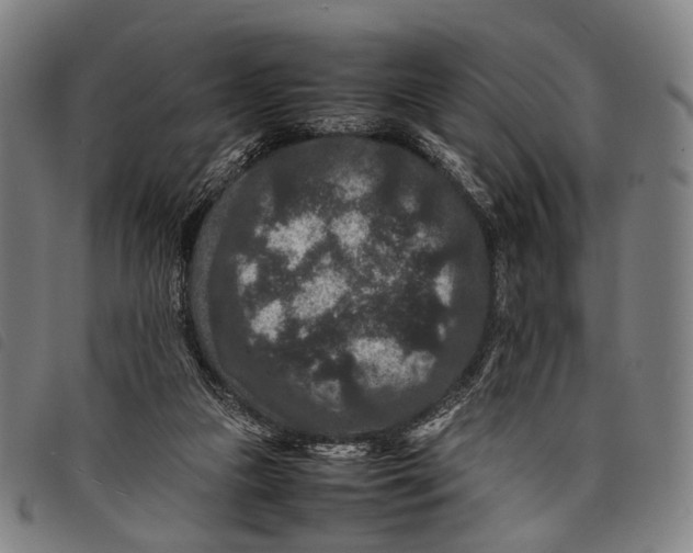X0000097840161200804041451