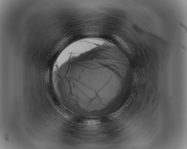 X0000097840163200804041451