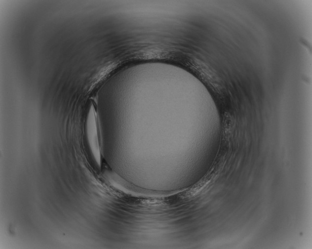 X0000097840164200804041451
