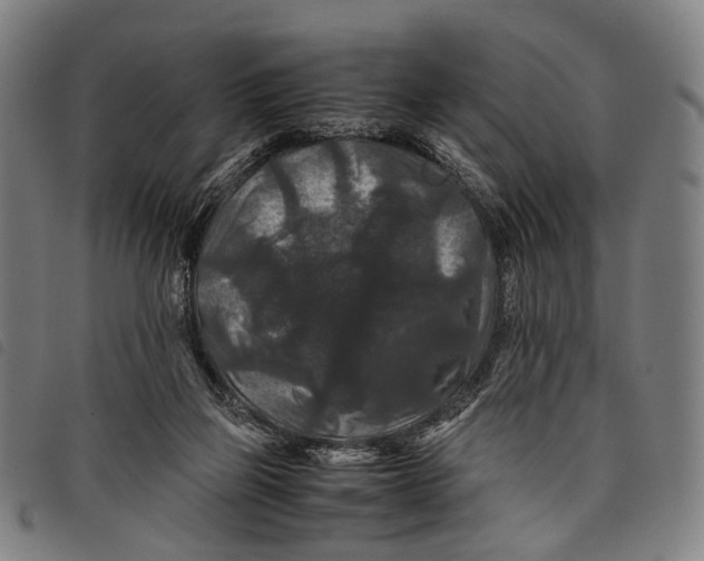 X0000097840165200804041451