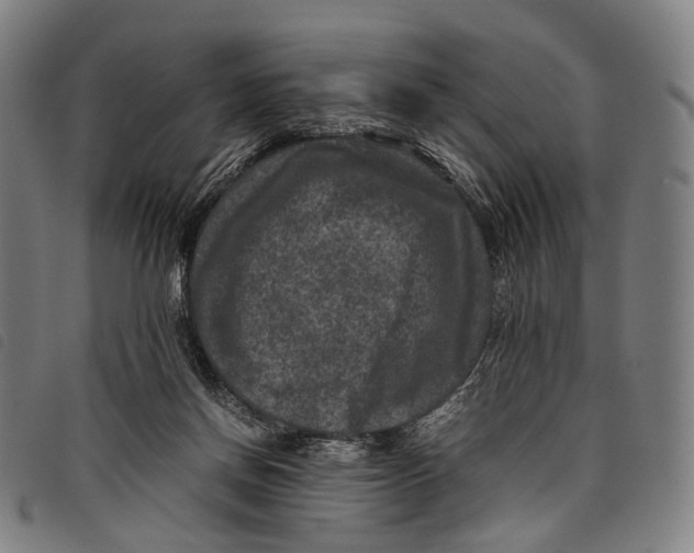 X0000097840166200804041451