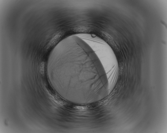 X0000097840167200804041451