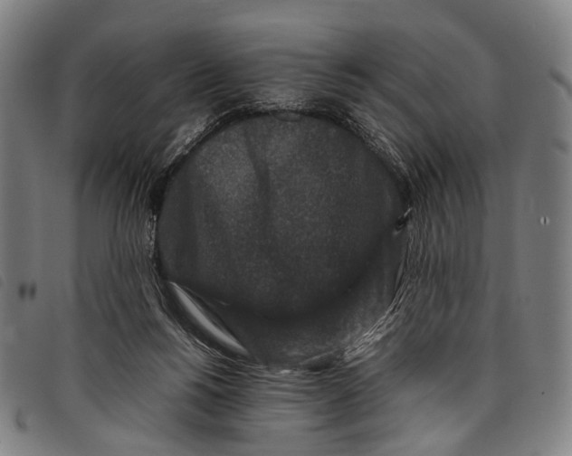 X0000097840168200804041451