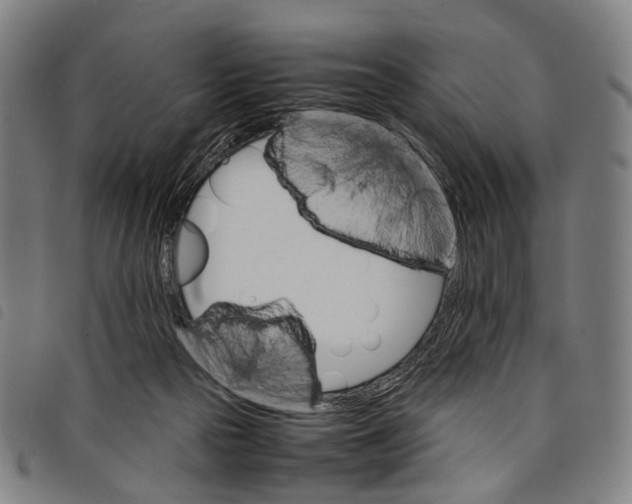 X0000097840169200804041451