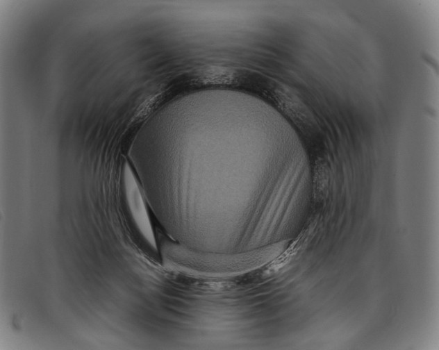 X0000097840172200804041452