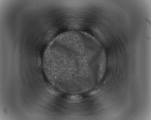X0000097840173200804041452