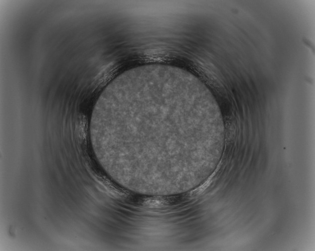 X0000097840174200804041452