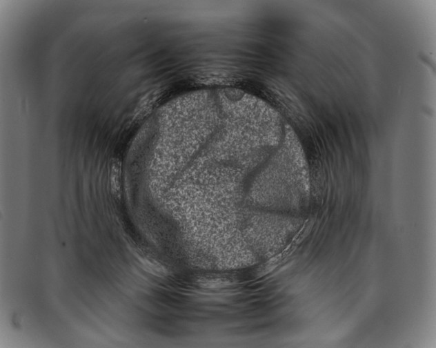 X0000097840175200804041452