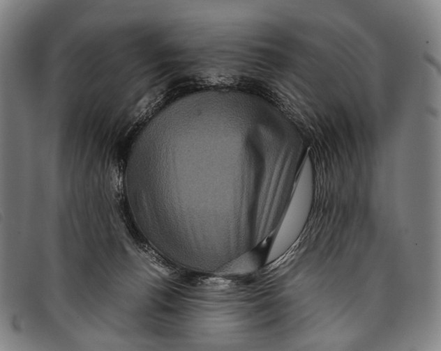 X0000097840176200804041452