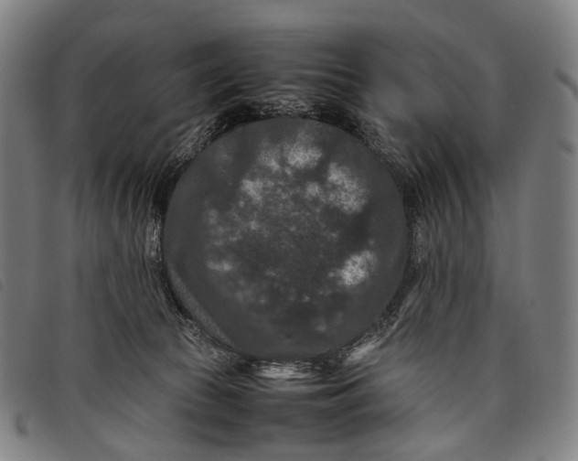 X0000097840177200804041452