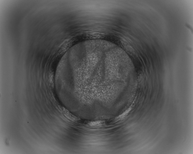 X0000097840178200804041452