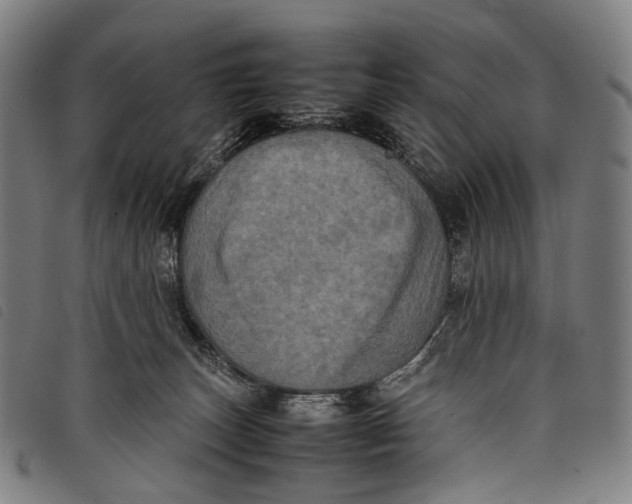 X0000097840179200804041452