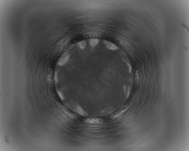 X0000097840181200804041452