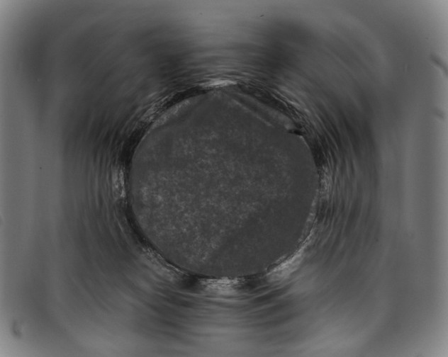 X0000097840182200804041452