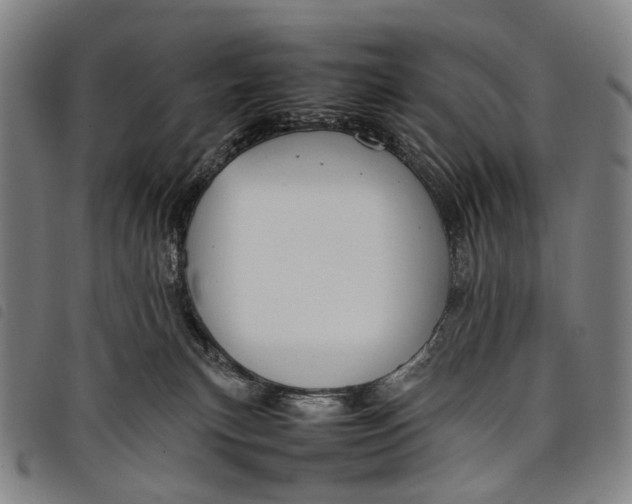 X0000097840183200804041452