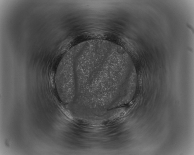 X0000097840185200804041452