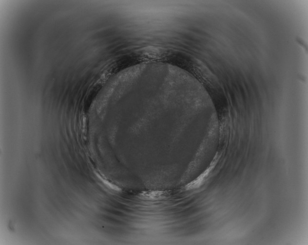 X0000097840186200804041452