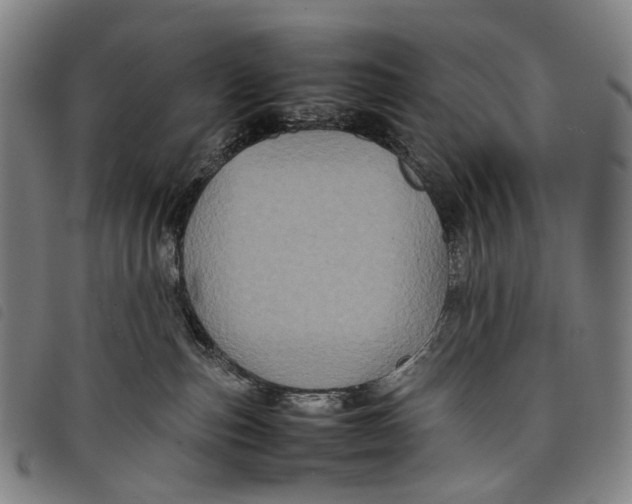 X0000097840187200804041452