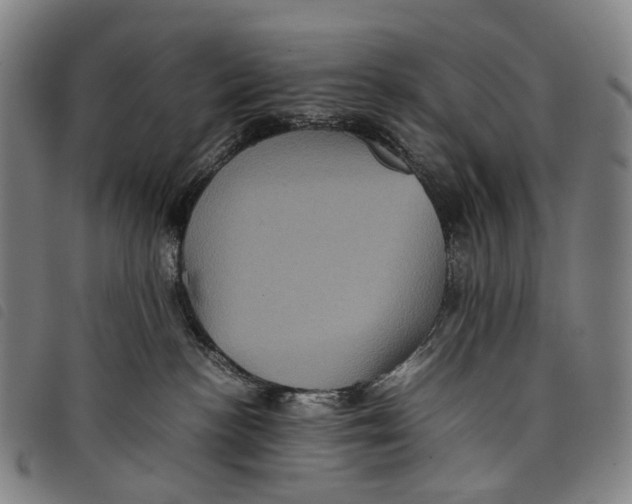 X0000097840188200804041452