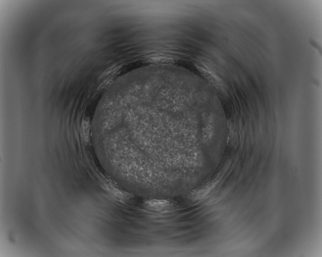X0000097840189200804041452