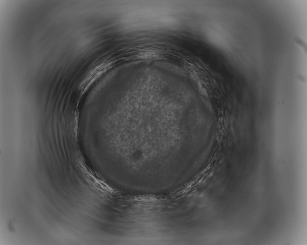 X0000097840194200804041451