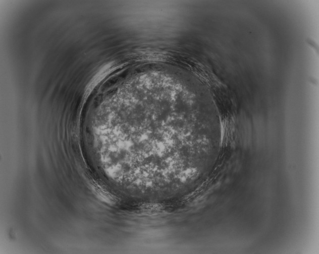 X0000097840195200804041451
