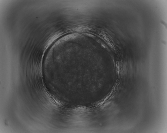 X0000097840196200804041451