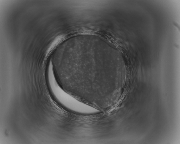 X0000097840197200804041451