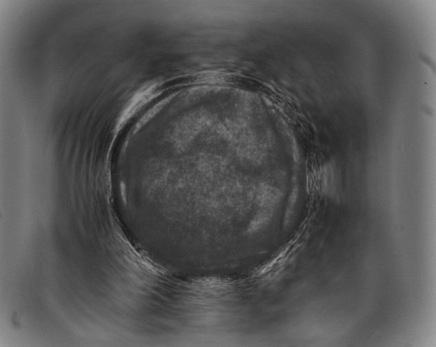 X0000097840198200804041451