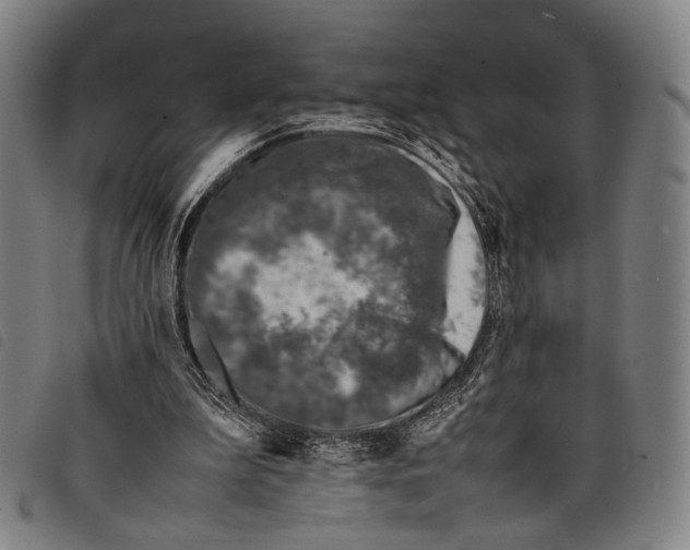 X0000097840199200804041451