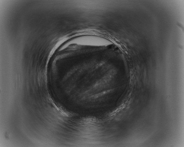 X0000097840200200804041451