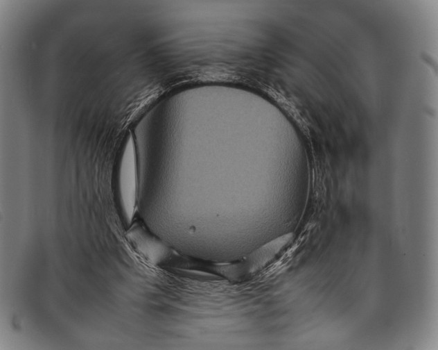 X0000097840201200804041451