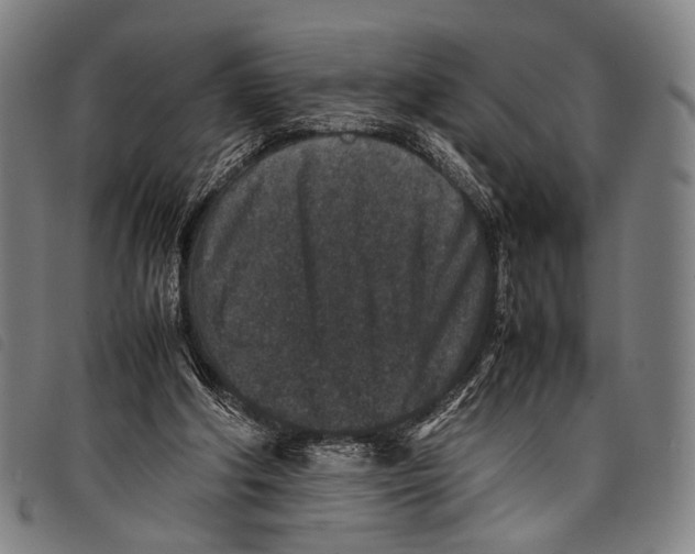 X0000097840202200804041451