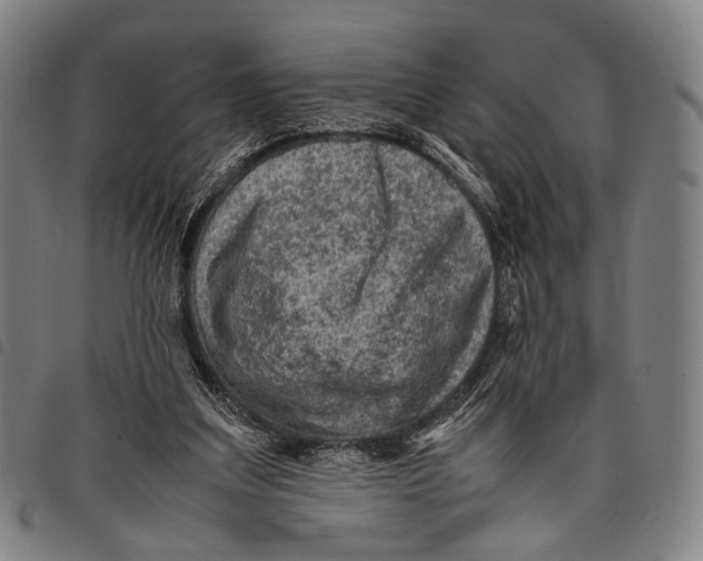 X0000097840203200804041451
