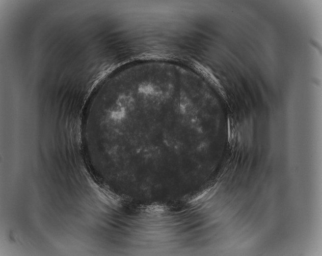 X0000097840204200804041451