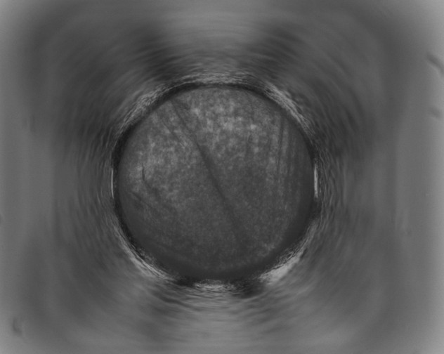 X0000097840205200804041451