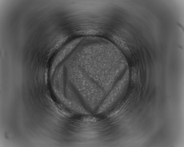 X0000097840206200804041451