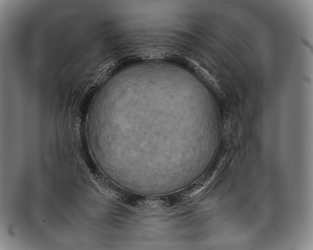 X0000097840209200804041451