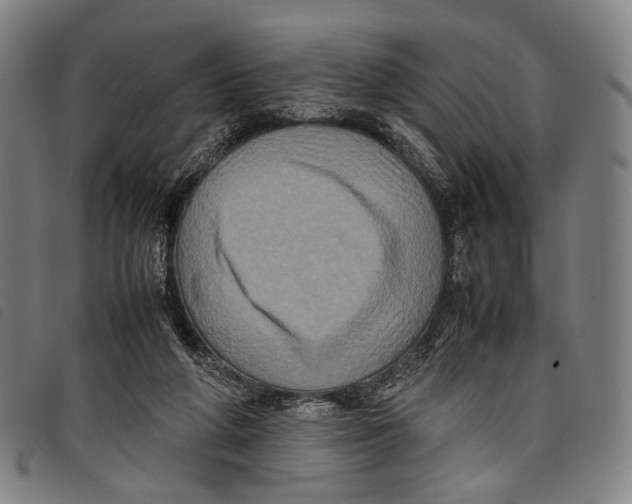 X0000097840210200804041451