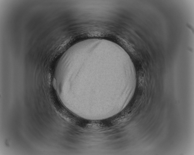 X0000097840211200804041451