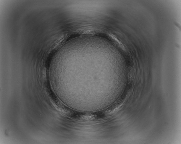 X0000097840213200804041451
